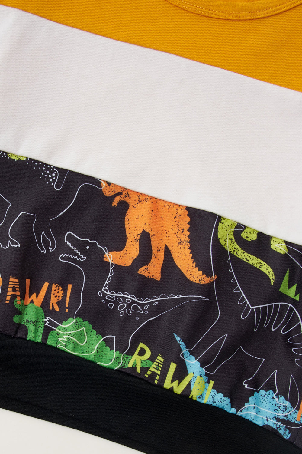 Boys Dinosaur Color Block Tee and Pants Set